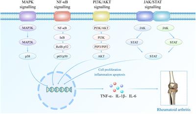 Natural biomimetic nano-system for drug delivery in the treatment of rheumatoid arthritis: a literature review of the last 5 years